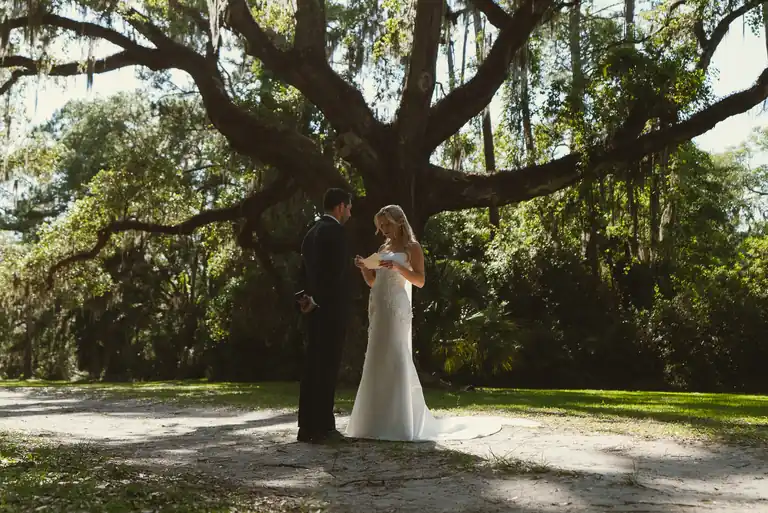 Bride and groom standing beneath a sprawling live oak